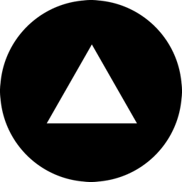 TheDataProject.AI logo
